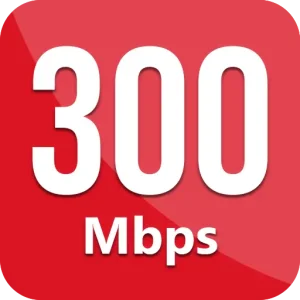 Speed 300 Mbps